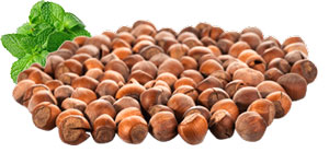 فندق